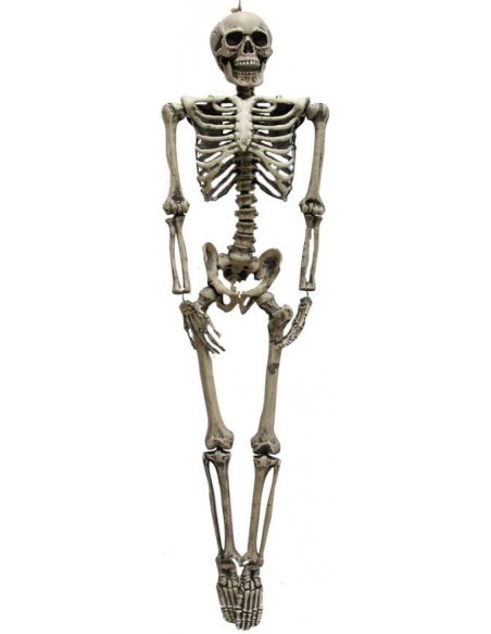 Grand squelette articulé réaliste 1.60m pour décoration Halloween