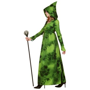 Déguisement de sorcière de la forêt costume de couleur verte 2