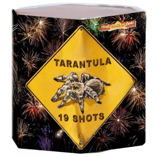 Feu d'artifice automatique Tarentula d'une durée de 27 secondes