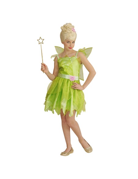 Déguisement de fée verte avec robe et ailes costume pour enfant