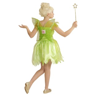 Déguisement de fée verte avec robe et ailes costume pour enfant 2