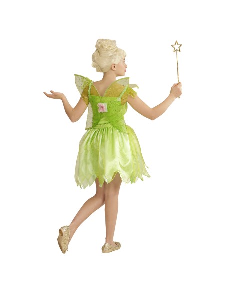 Déguisement de fée verte avec robe et ailes costume pour enfant