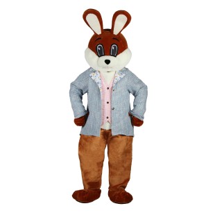 Location Mascotte lapin garçon