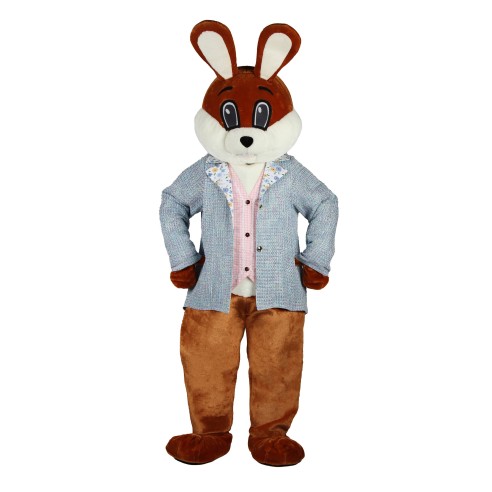 Location Mascotte lapin garçon