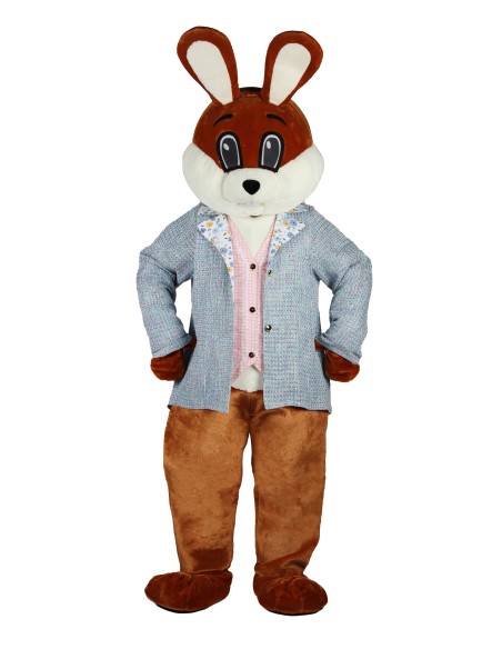 Location Mascotte lapin garçon