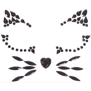 Strass maquillage visage chat noir 2