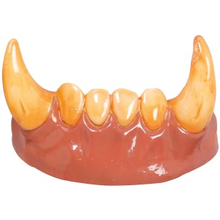 Dentier loup garou avec canines 2