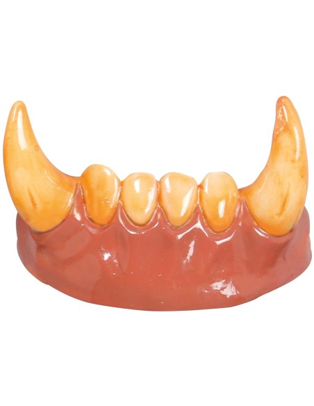 Dentier loup garou avec canines