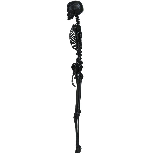 Décoration squelette noir 150cm