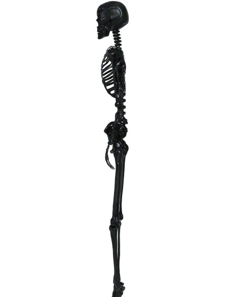 Décoration squelette noir 150cm