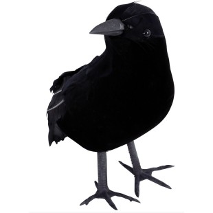 Déco corbeaux noir