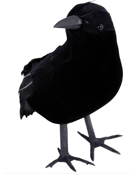 Déco corbeaux noir