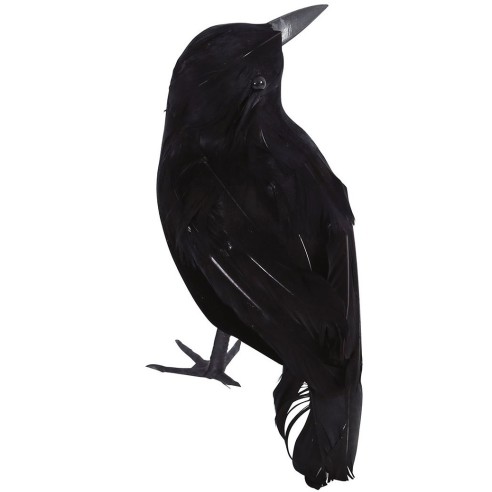 Déco corbeaux noir