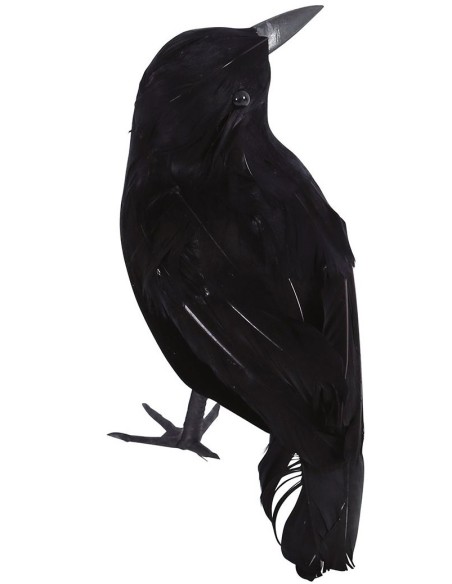 Déco corbeaux noir