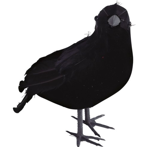 Déco corbeaux noir