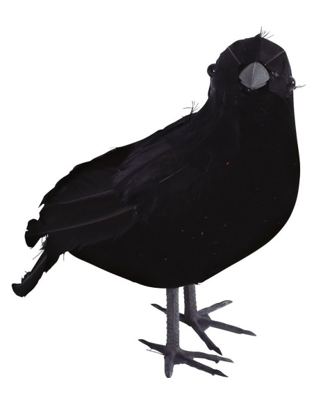 Déco corbeaux noir
