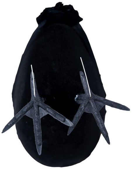 Déco corbeaux noir