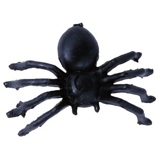 70 petites araignées noires 2