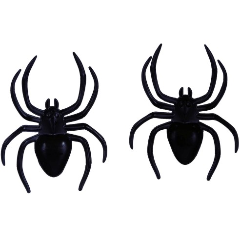 2 grosses araignées noires