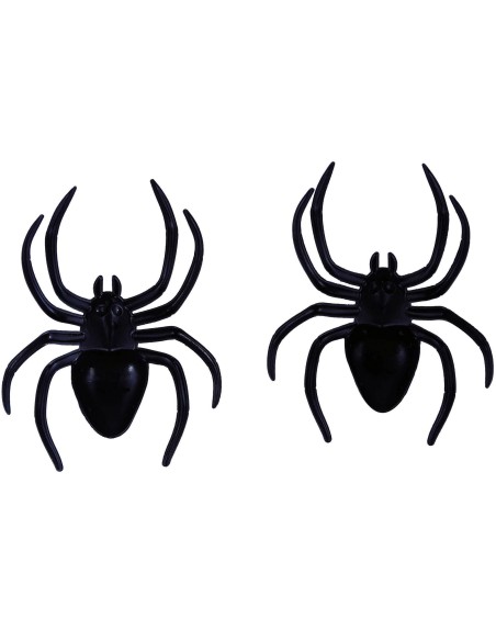 2 grosses araignées noires