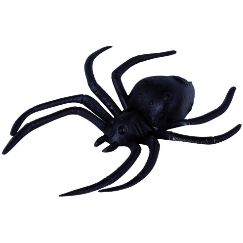 2 grosses araignées noires