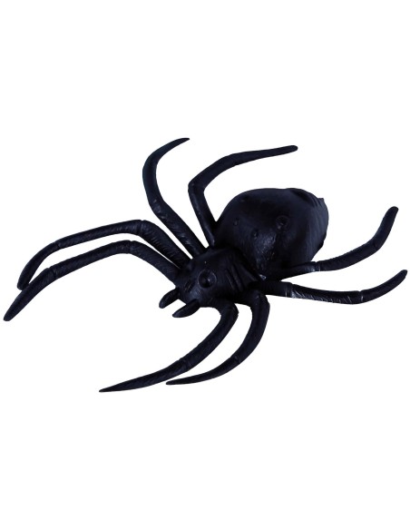 2 grosses araignées noires