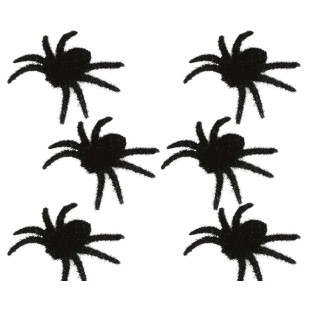 6 araignées noires poilues