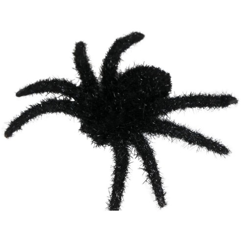 6 araignées noires poilues