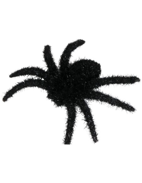 6 araignées noires poilues