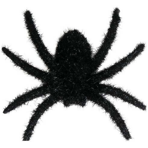 6 araignées noires poilues