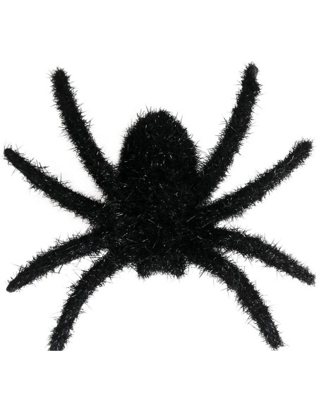 6 araignées noires poilues