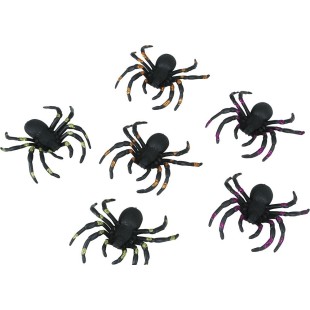 6 araignées à paillettes 2