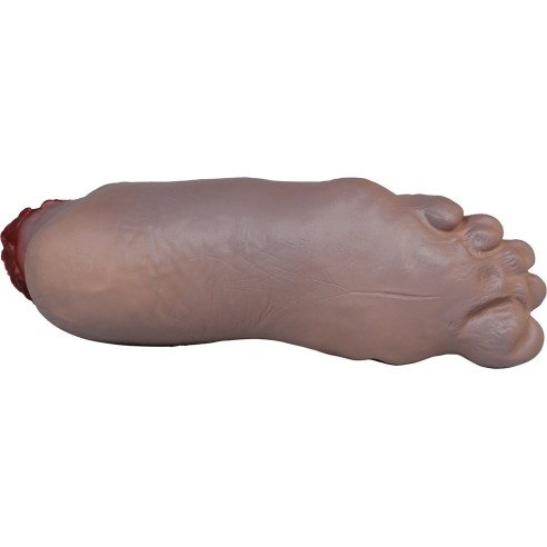 Pied coupé avec os sanglant