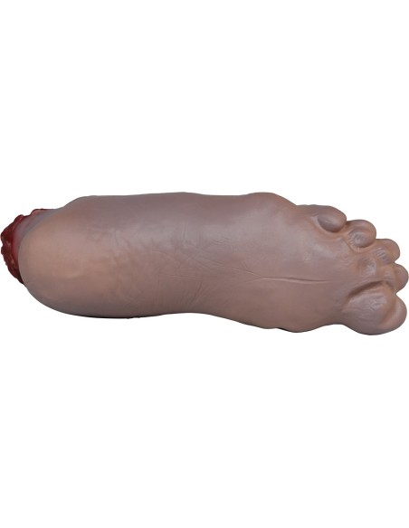 Pied coupé avec os sanglant
