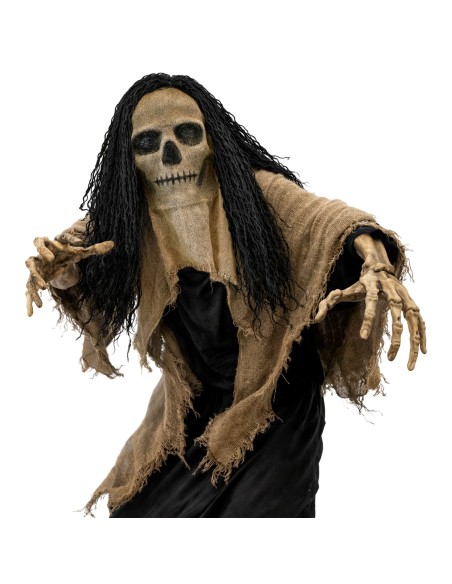 Masque crâne avec cape et cheveux
