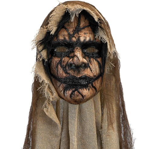 Masque à cape démon