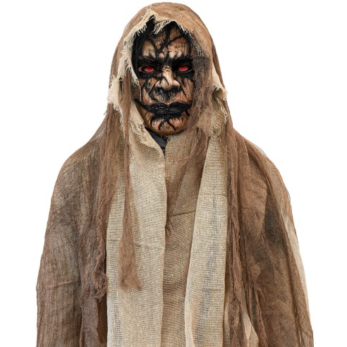 Masque à cape démon