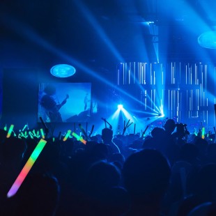 2 bâtons lumineux multicolore fluo LED 2
