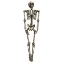 Décoration squelette 160cm