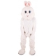 Mascotte Lapin Blanc