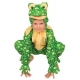 Costume peluche grenouille enfant