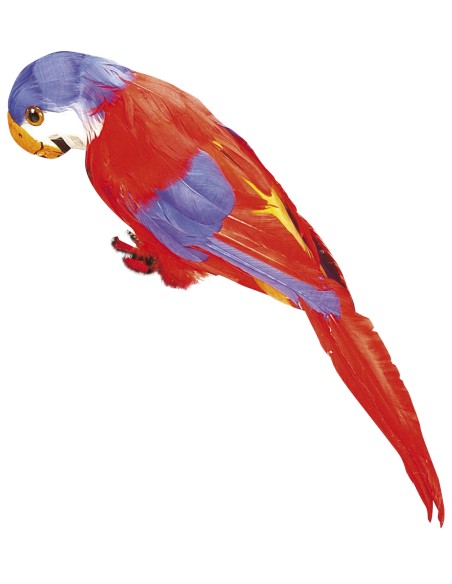 Boucles de chaussures pirates