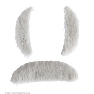 Barbe longue grise avec lèvres 2