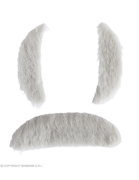 Barbe longue grise avec lèvres