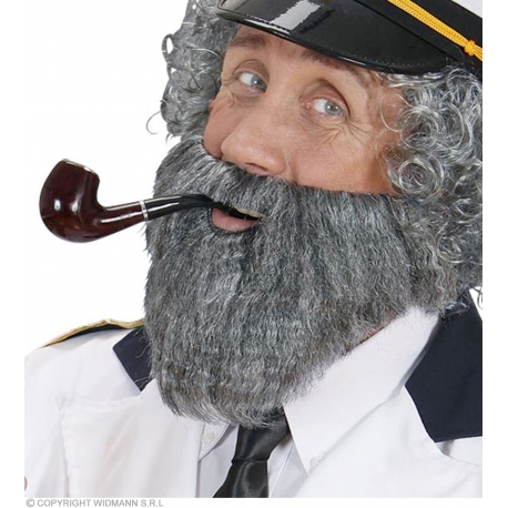 Moustache avec barbe grise