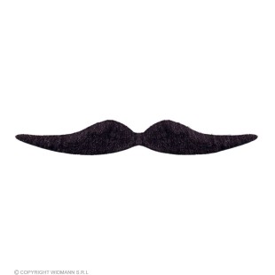 Poils pour torse noirs 2