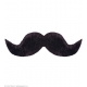 Moustache fermier noire