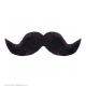 Moustache fermier noire