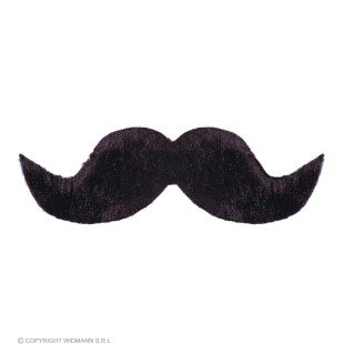 Moustache fermier noire 2