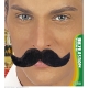 Moustache fermier noire